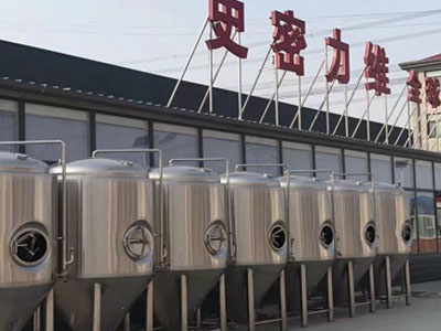 振安精酿啤酒设备厂—市场规模与跨界新需求